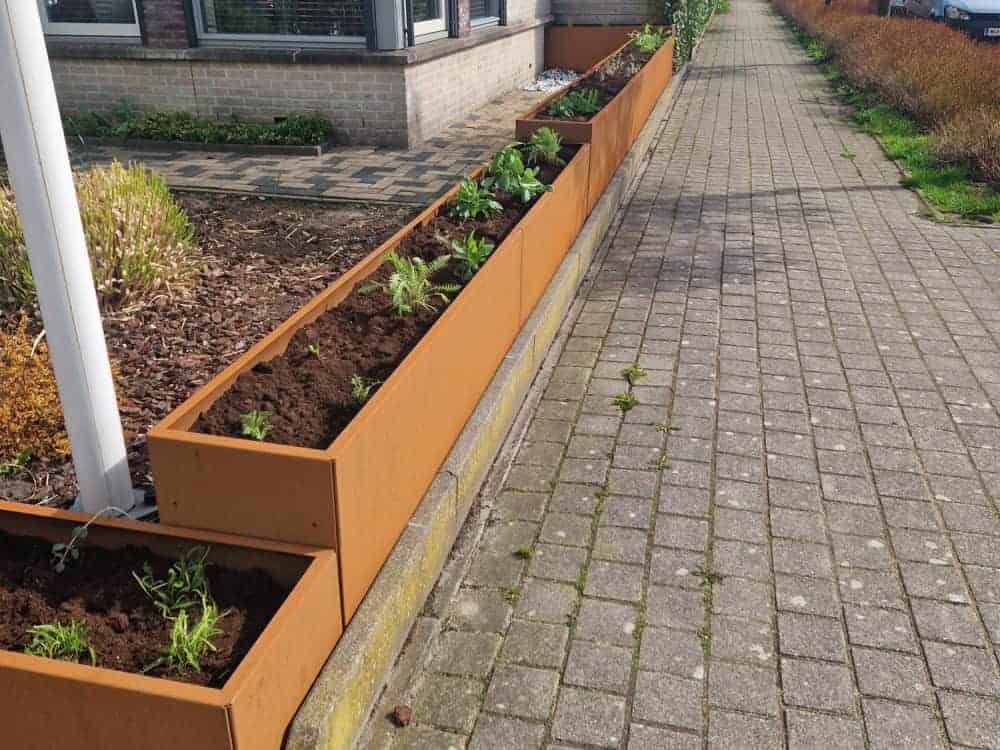 Corten plantenbak